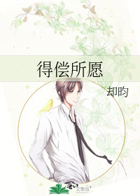 得偿所愿