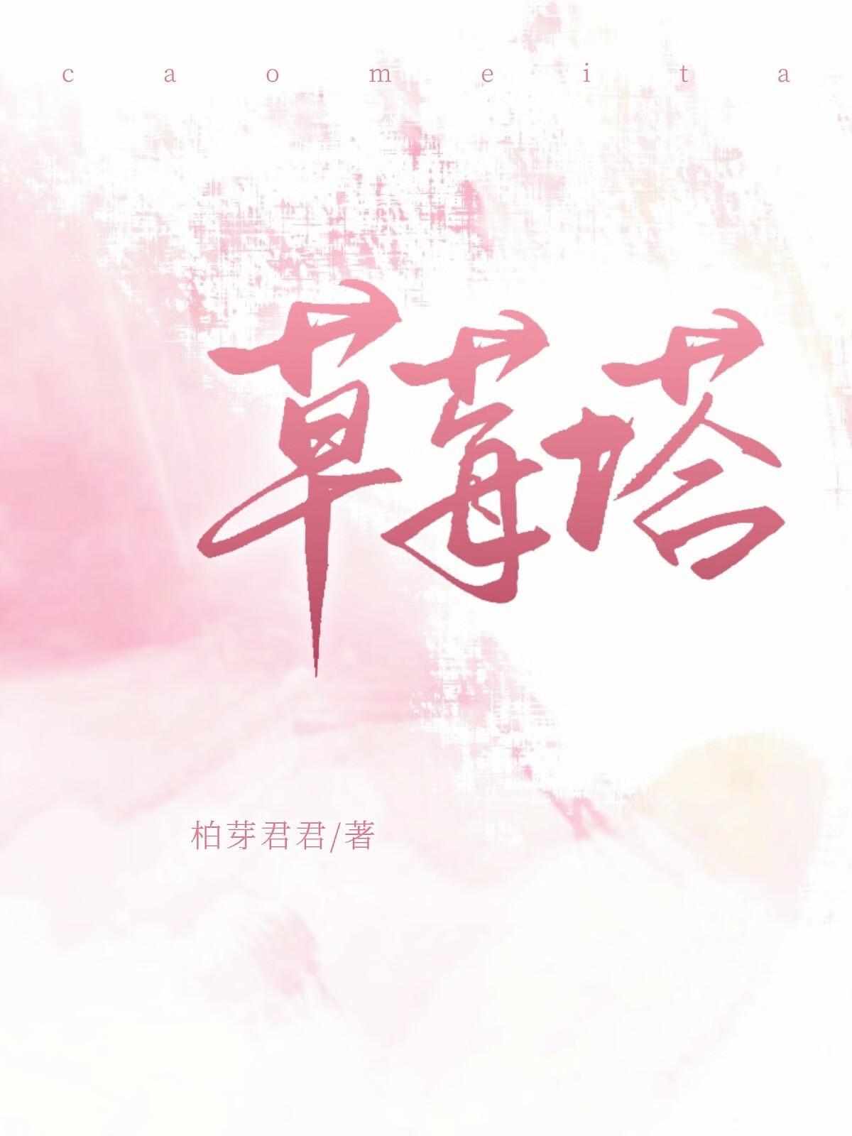 草莓塔