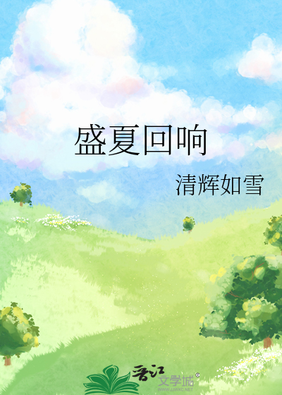 盛夏回响