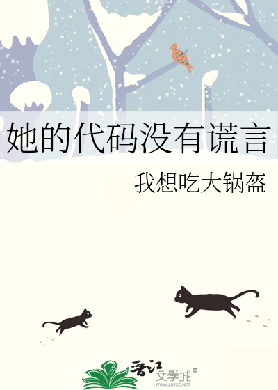 她的代码没有谎言
