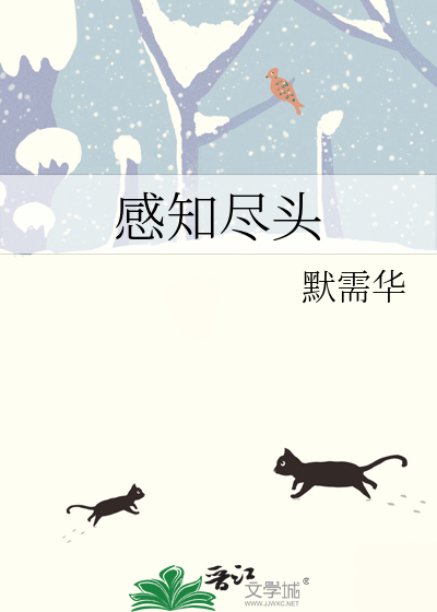 感知尽头