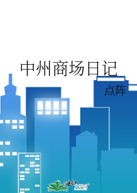 中州商场日记