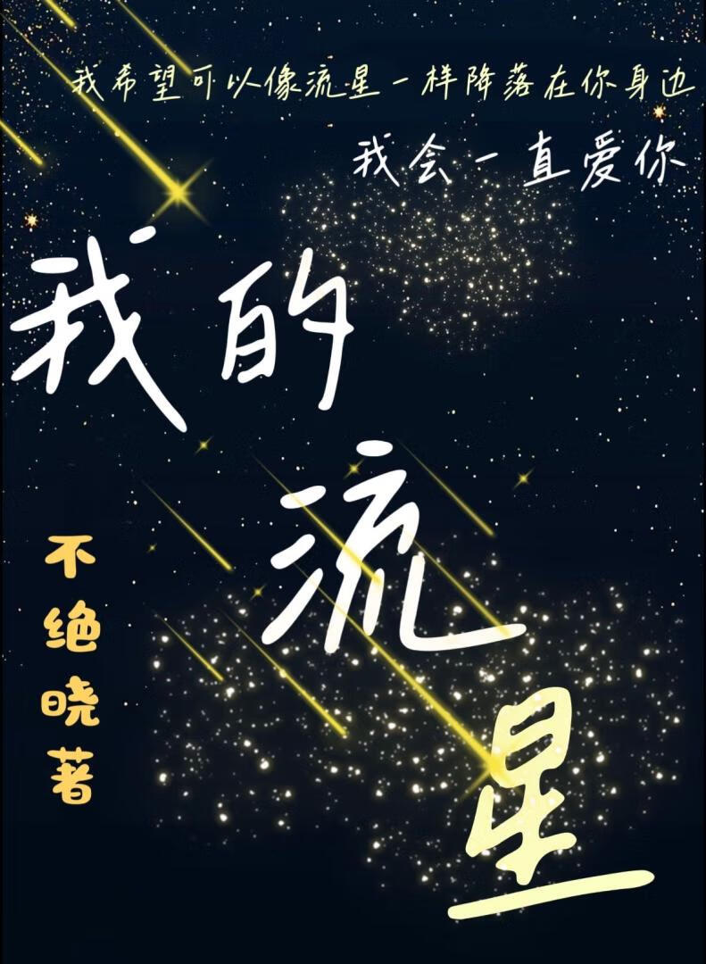 我的流星